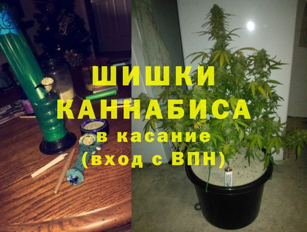 стафф Шадринск