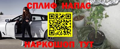 меф Кингисепп