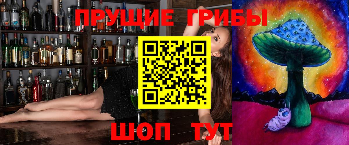 Краснодар  Галлюциногенные грибы прущие грибы  Вход с VPN  Галлюциногенные грибы GOLDEN TEACHER 